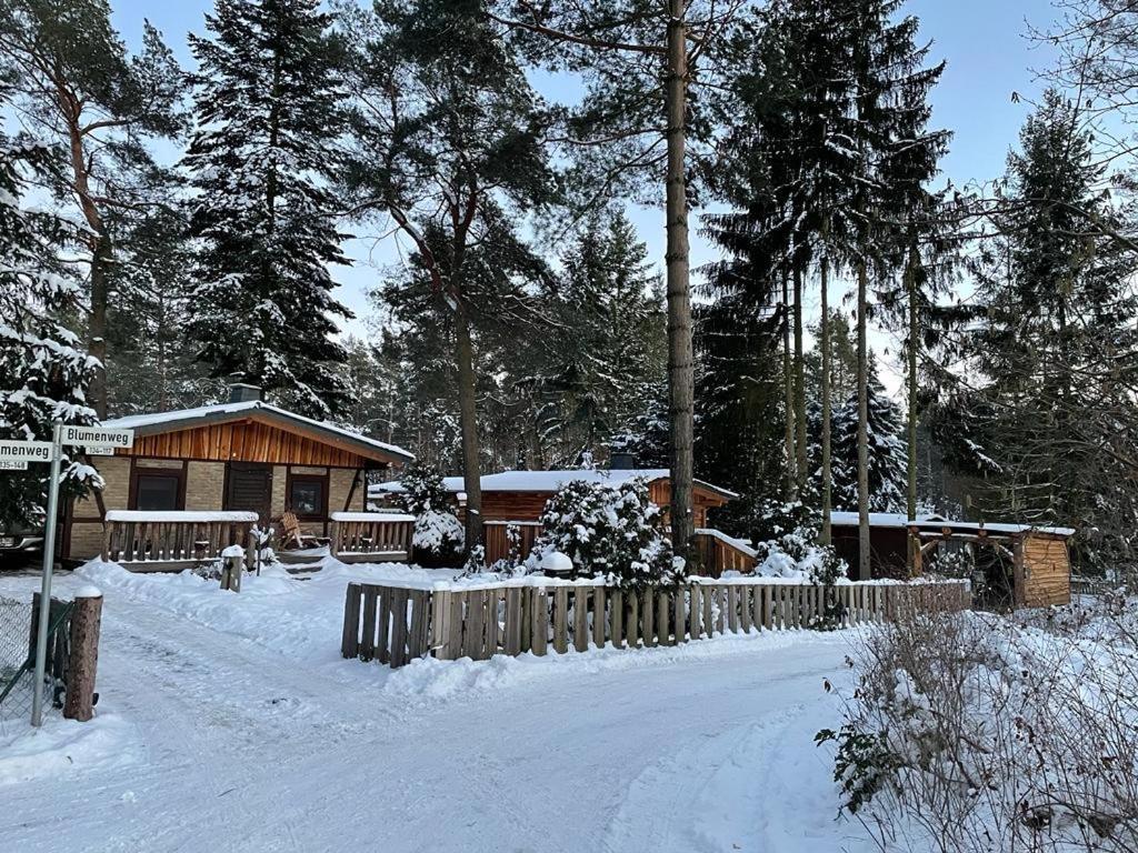 Plodda Haus Brunhildeヴィラ エクステリア 写真